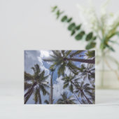 COCO PALMS #2 Briefkaart (Staand voorkant)