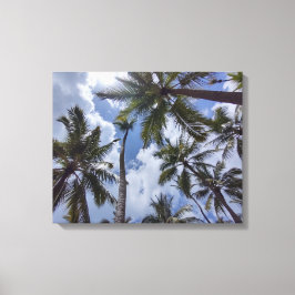 COCO PALMS #2 OP CANVAS 20 "x 16"