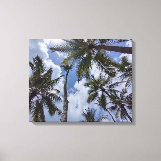 COCO PALMS #2 OP CANVAS 20 "x 16" Afdruk (Voorkant)