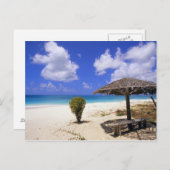 Coco Point Beach, Barbuda, Antigua Briefkaart (Voorkant / Achterkant)