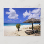 Coco Point Beach, Barbuda, Antigua Briefkaart (Voorkant)