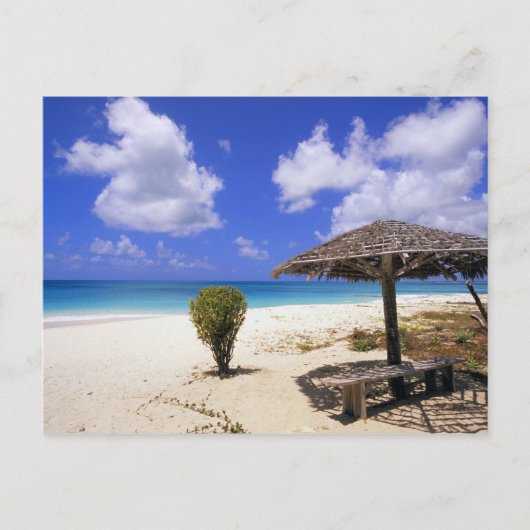 Coco Point Beach, Barbuda, Antigua Briefkaart (Voorkant)
