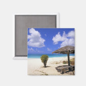 Coco Point Beach, Barbuda, Antigua Magneet (Voorkant / Achterkant)