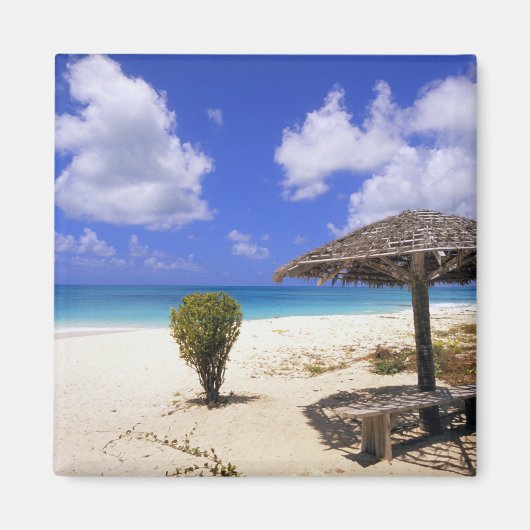 Coco Point Beach, Barbuda, Antigua Magneet (Voorkant)