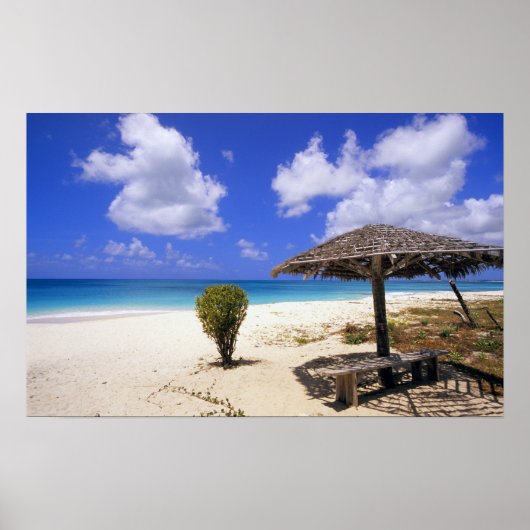 Coco Point Beach, Barbuda, Antigua Poster (Voorkant)