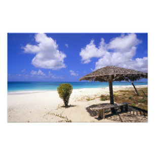 Coco Point-strand, Barbuda, Antigua Foto Afdruk