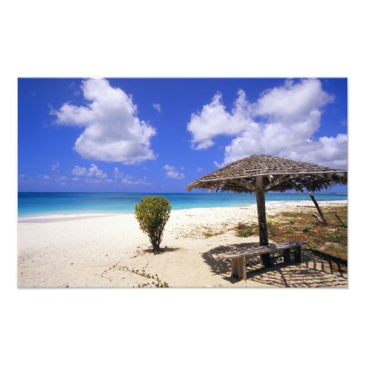 Coco Point-strand, Barbuda, Antigua Foto Afdruk (Voorkant)