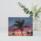 Coco, van Guilian Buhl Briefkaart (Staand voorkant)