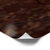 COCOA MAGIC PERFECT POSTER (Hoek)