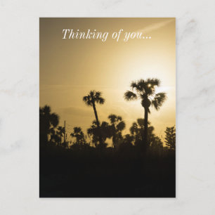 Cocoa Palm Silhouette Briefkaart