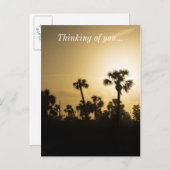 Cocoa Palm Silhouette Briefkaart (Voorkant / Achterkant)