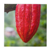 cocoa peul rood tegeltje (Voorkant)