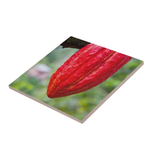 cocoa peul rood tegeltje (Zijkant)