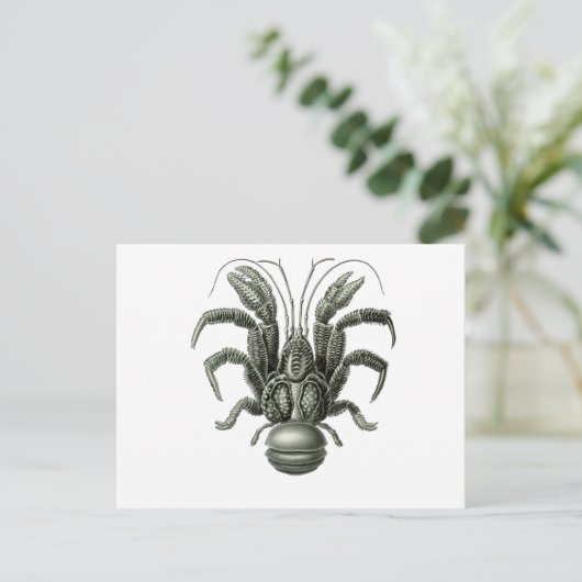 Coconut Crab Briefkaart (Staand voorkant)