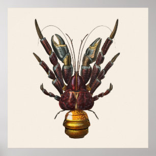 Coconut Crab Poster