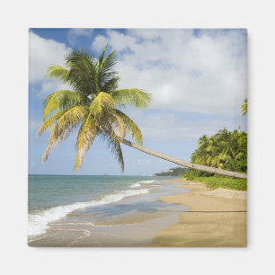 Coconut Grove Beach bij Cades Bay, met St. 2 Magneet