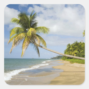 Coconut Grove Beach bij Cades Bay, met St. 2 Vierkante Sticker
