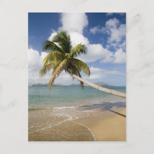Coconut Grove Beach bij Cades Bay, met St. Briefkaart