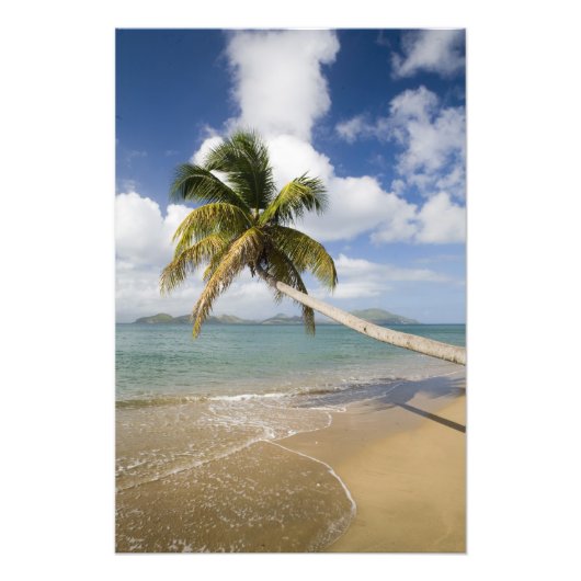 Coconut Grove Beach bij Cades Bay, met St. Foto Afdruk (Voorkant)