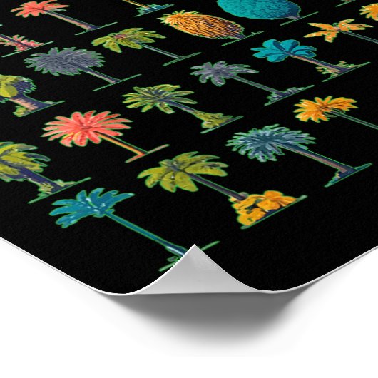 Coconut Grove Florida Poster (Hoek)