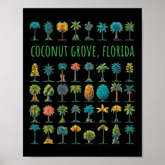 Coconut Grove Florida Poster (Voorkant)