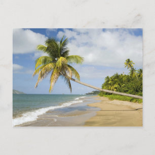 Coconut Grove-strand bij Cades Bay, met St. 2 Briefkaart