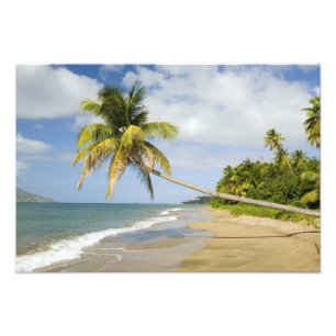 Coconut Grove-strand bij Cades Bay, met St. 2 Foto Afdruk