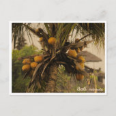 Coconut Palm, Bali Indonesia - Travel Postcard Feestdagenkaart (Voorkant)