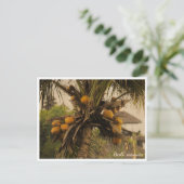 Coconut Palm, Bali Indonesia - Travel Postcard Feestdagenkaart (Staand voorkant)