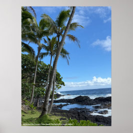 Coconut Palm Beach Hawaii Poster @3dudes1life