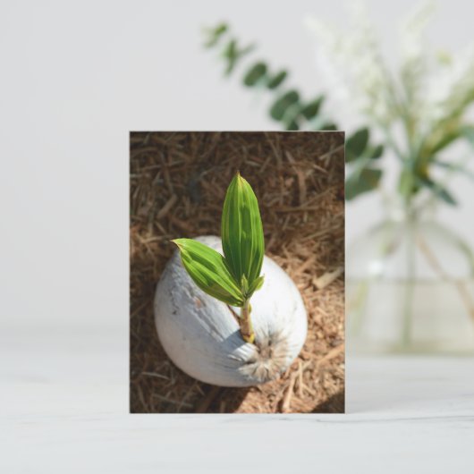 Coconut Palm Briefkaart (Staand voorkant)