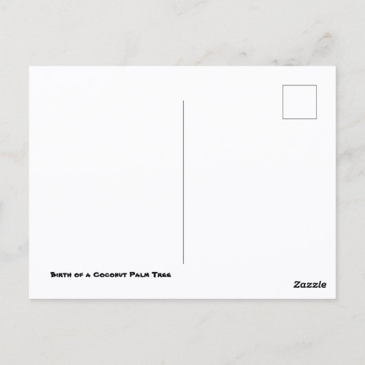 Coconut Palm Briefkaart (Achterkant)