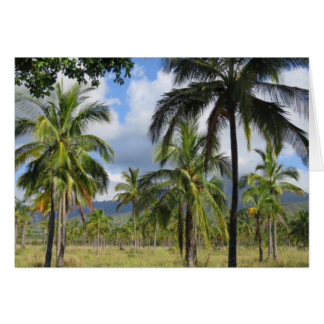 Coconut Palm Forest (Voorkant Horizontaal)