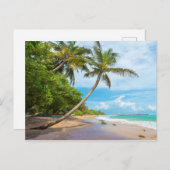 Coconut Palm, Mirissa Beach | Sri Lanka Briefkaart (Voorkant / Achterkant)