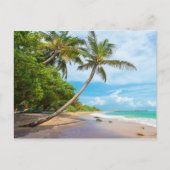 Coconut Palm, Mirissa Beach | Sri Lanka Briefkaart (Voorkant)