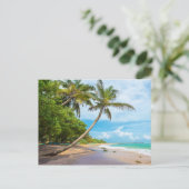 Coconut Palm, Mirissa Beach | Sri Lanka Briefkaart (Staand voorkant)