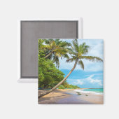 Coconut Palm, Mirissa Beach | Sri Lanka Magneet (Voorkant / Achterkant)