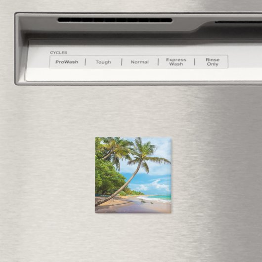 Coconut Palm, Mirissa Beach | Sri Lanka Magneet (Insitu (Vaatwasser))