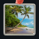 Coconut Palm, Mirissa Beach | Sri Lanka Metalen Ornament<br><div class="desc">Op deze foto staat een kokospalm op Mirissa Beach,  Sri Lanka. Een tropisch paradijs en een idyllisch strand.</div>