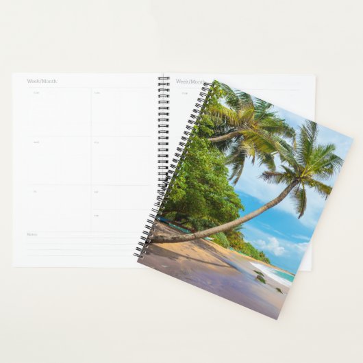 Coconut Palm, Mirissa Beach | Sri Lanka Planner (Display)