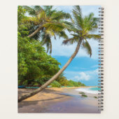 Coconut Palm, Mirissa Beach | Sri Lanka Planner (Achterkant)