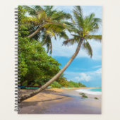 Coconut Palm, Mirissa Beach | Sri Lanka Planner (Voorkant)