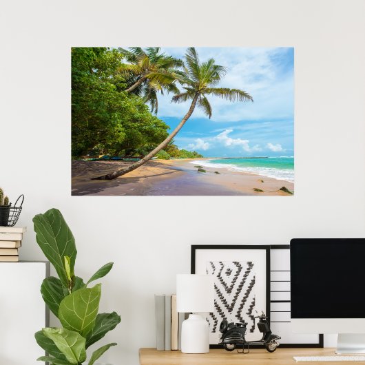 Coconut Palm, Mirissa Beach | Sri Lanka Poster (Thuiskantoor)