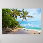 Coconut Palm, Mirissa Beach | Sri Lanka Poster (Voorkant)