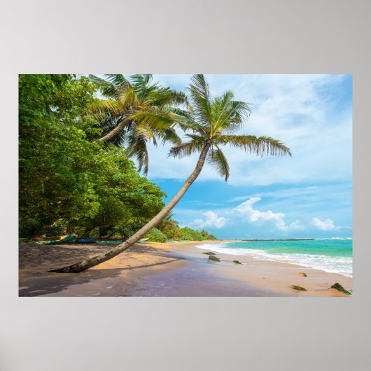 Coconut Palm, Mirissa Beach | Sri Lanka Poster (Voorkant)