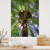 Coconut Palm Poster (Keuken)