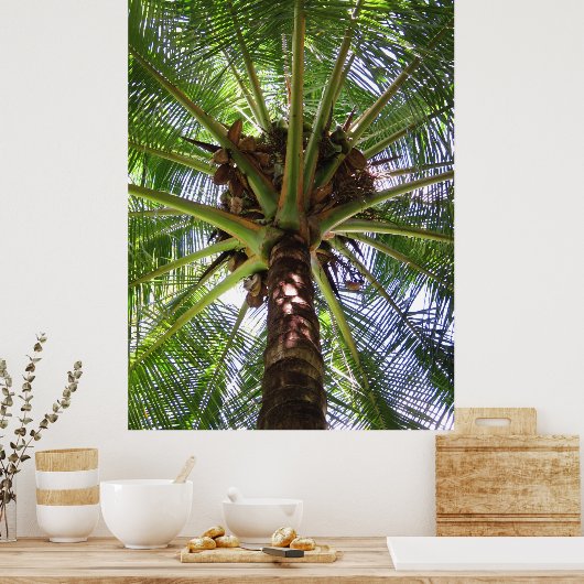 Coconut Palm Poster (Keuken)