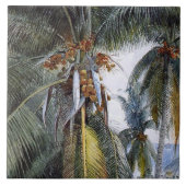 Coconut Palms, Key West, Florida, Tegeltje (Voorkant)