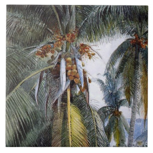 Coconut Palms, Key West, Florida, Tegeltje