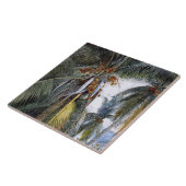 Coconut Palms, Key West, Florida, Tegeltje (Zijkant)